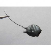 Lepidlo Rapid 10ml